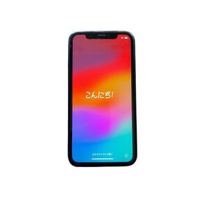 Apple iPhone XR 256GB Black Unlocked Smartphone 6.1" Display